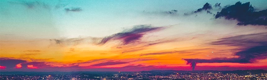 射阳茶虫网_射阳品茶